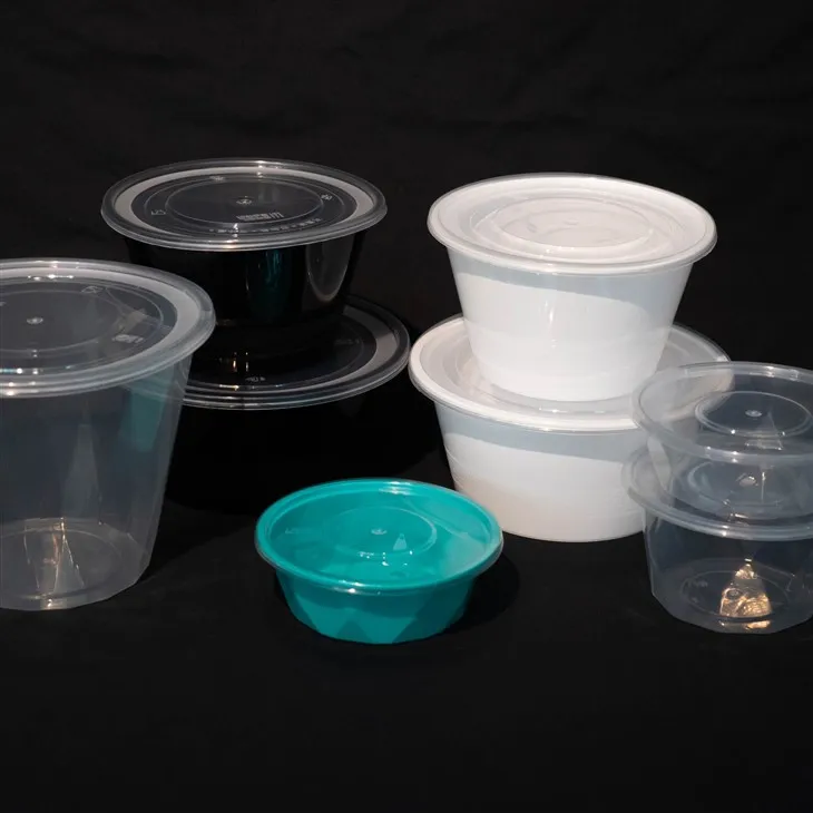 2 Compartment Black Take Out Food Containers Disposable Plastic Portable Lunch Boxes