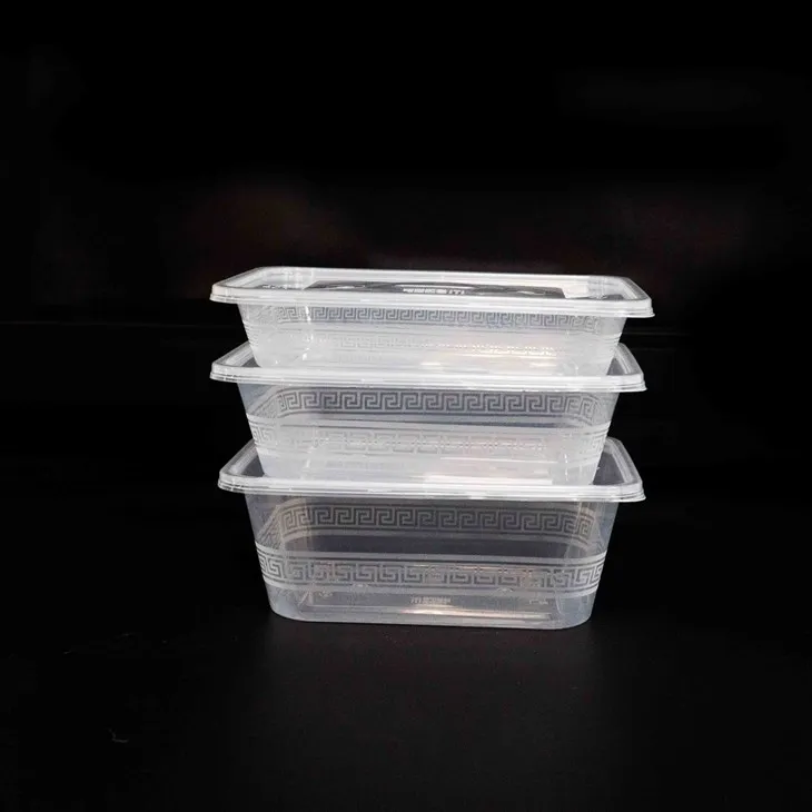 Disposable Plastic Food Boxes - Perfect for Single-Use Meals (6)