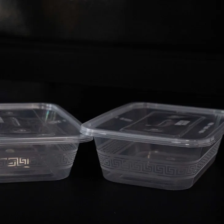 Disposable Plastic Food Boxes - Perfect for Single-Use Meals (4)
